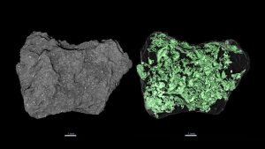 Read more about the article Τα Συστατικά της Ζωής στον Αστεροειδή Bennu